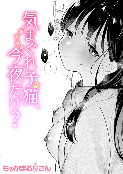 気まぐれ子猫、今夜だけ？ b915awnmg04272